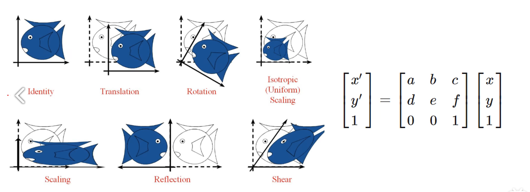 image-20240705123658146